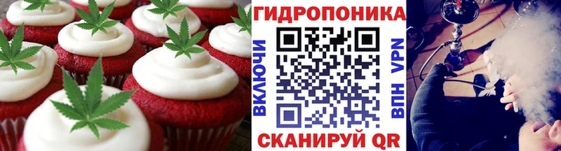 Canna-Cookies марихуана  Белая Холуница 