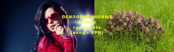 трава Балахна