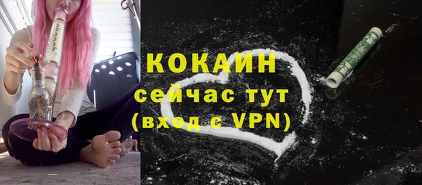 трава Балахна