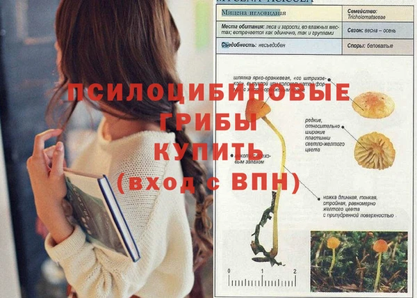 тгк Балабаново