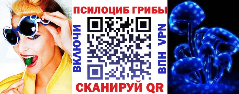 купить  сайты  Белая Холуница  Псилоцибиновые грибы мицелий 