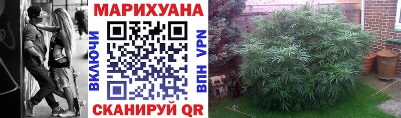 Бошки Шишки MAZAR  где найти наркотики  Белая Холуница 